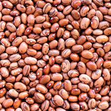 zavageneraltrading Co