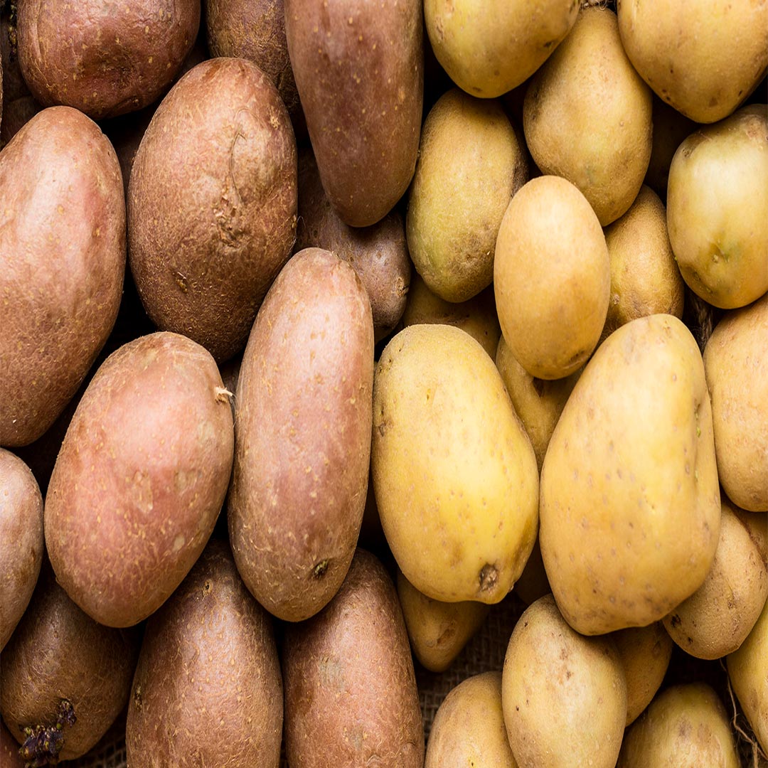 wholesale-potatoes-thrive-on-abrisham-road-b2b-platform.jpg