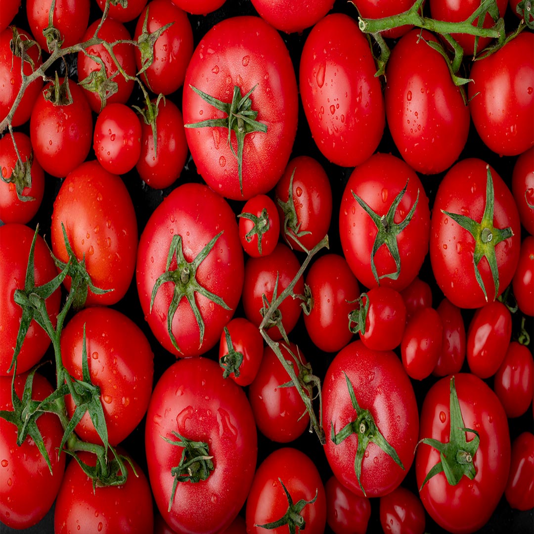 wholesale-tomatoes-flourish-on-abrisham-road-b2b-platform-3-1.jpg